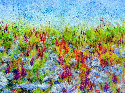 Aster season