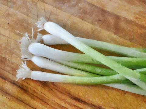 Six scallions