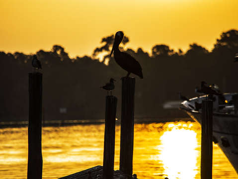 Sitting on the dock on the bay