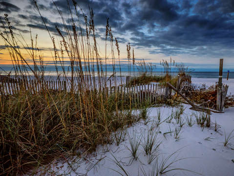Beach fences