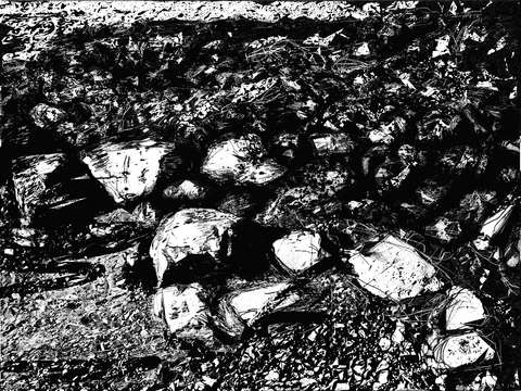 Rocks