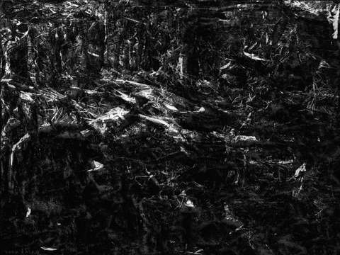 Forest 4