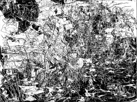 Undergrowth IIB