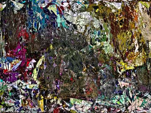 Undergrowth 13