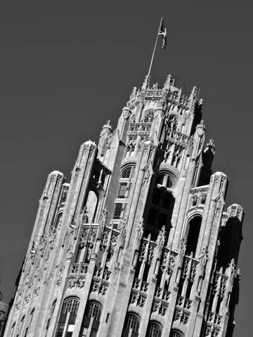 Tribune01bw