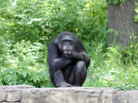 The thinker 3