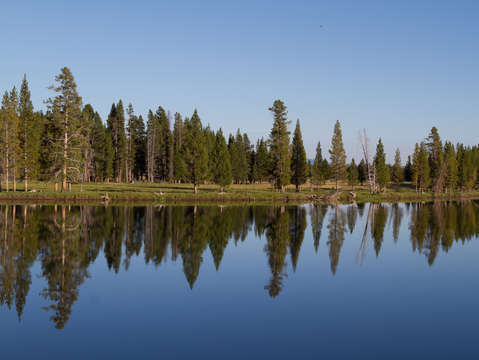 Reflections 11