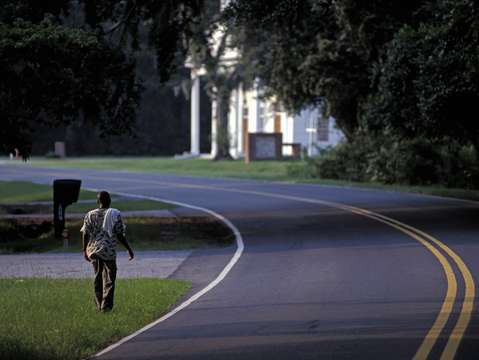 Walking by the road on Edisto Island