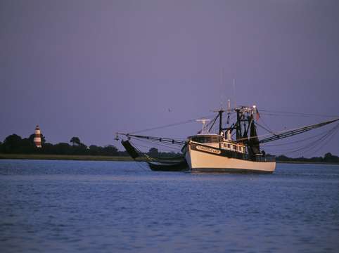 Shrimp trawler and sapelo lighthouse