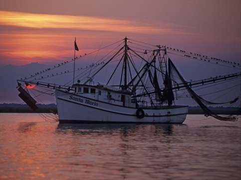 Shrimp trawler at sunset