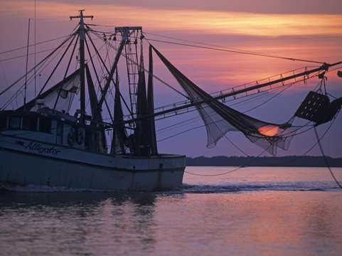 Sunset in trawler net