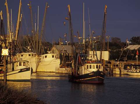 Trawlers at dock