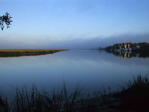 Marsh creek with shrimp trawlers
