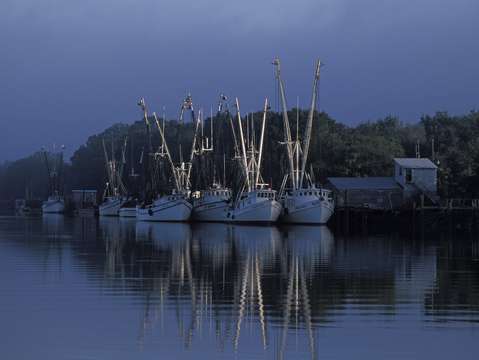 Trawlers in creek