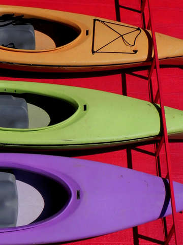 Kayak Spelled Backwards