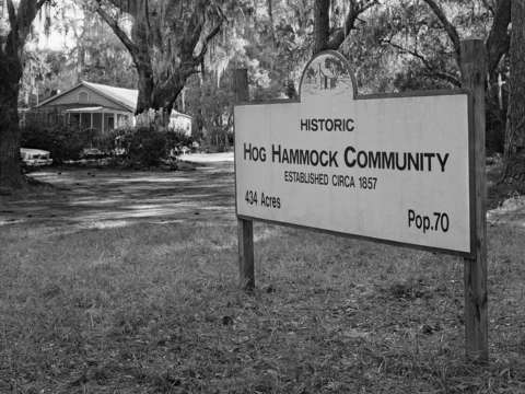 Hog hammock sign
