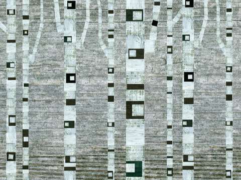 Black and white birches
