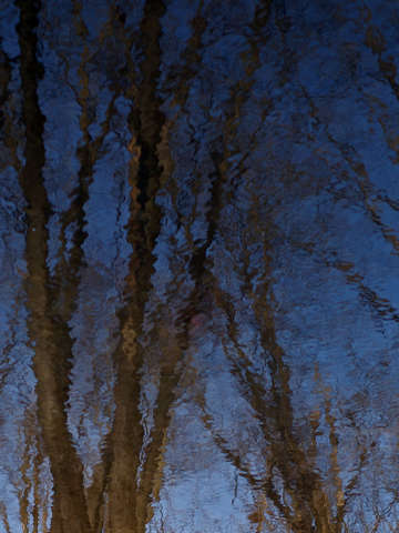 Winters morn