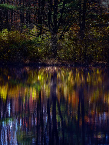 Rainbow Pond