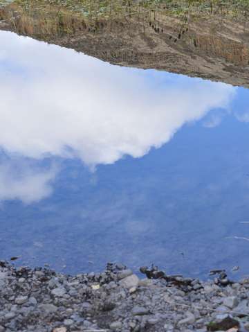 A yakima reflection