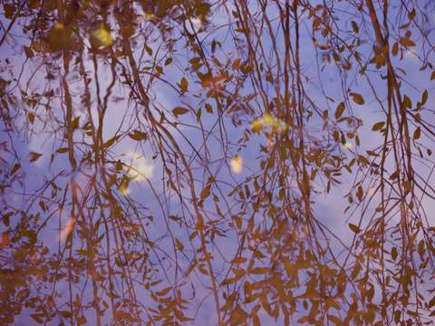 A yakima reflection ii