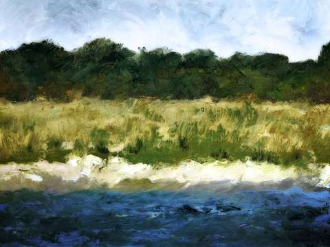 Great lakes dunes