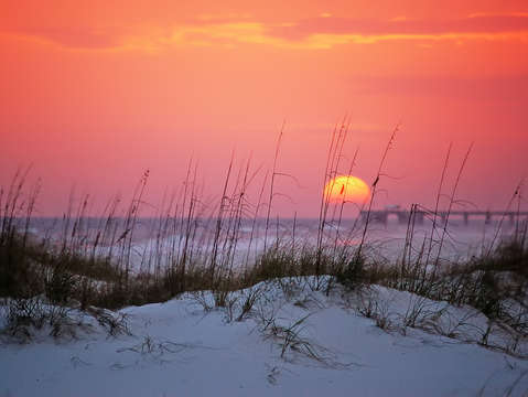 Last light 2