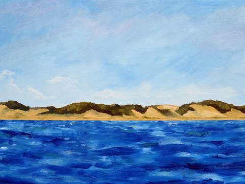 Dunes of lake michigan 20