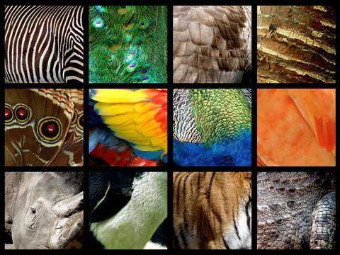 One day at the zoo