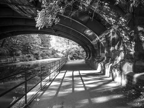 A walk in the park 2