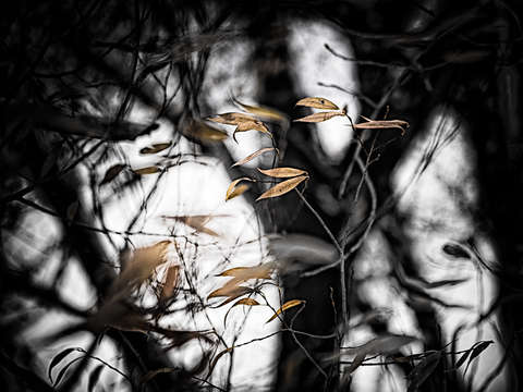 Fluttering