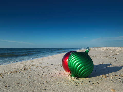 Bulbs on the Beach