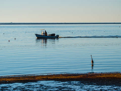 Fishing in the Pots