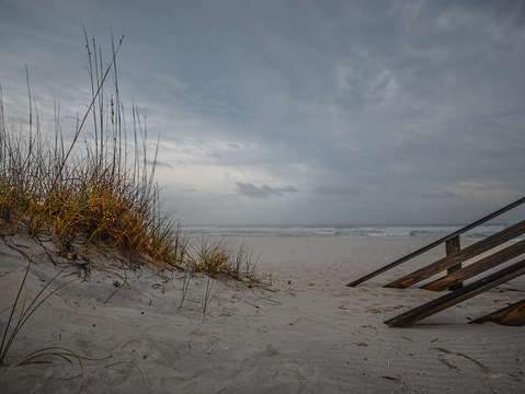Sea grasses and the railing