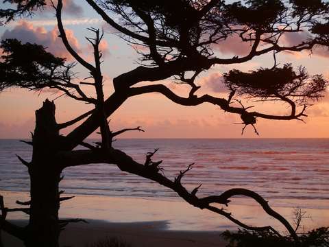 Moclips Beach Sunset