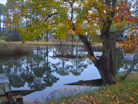 Colors on the back bays