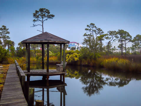 Quiet time on the bayou