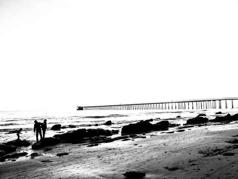 The bay