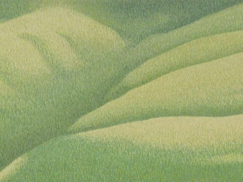 Grassland 49