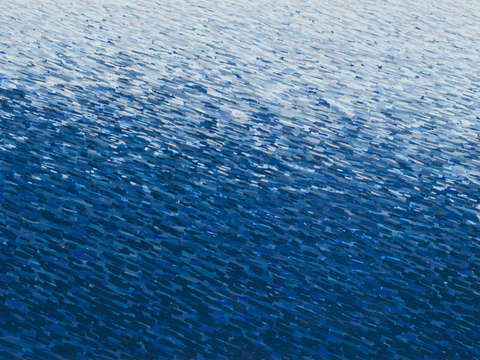 Seascape 50