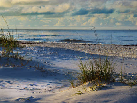 Peace at the beach 2