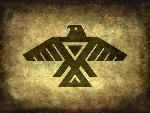 Thunderbird retro textured