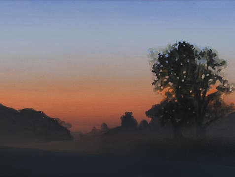 Misty field 1