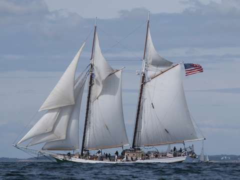 Schooner liberty clipper in gloucester
