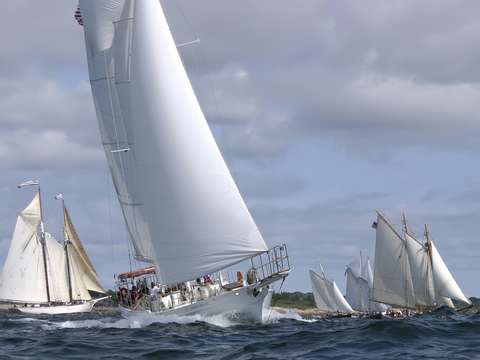 Grand nellie races in gloucester schooner festival