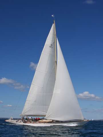 White wings races in newport