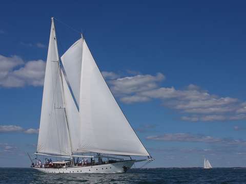 Schooner gloria races newport