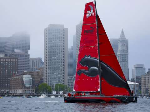 Puma racing in boston harbor