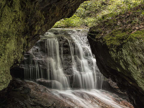 Natures Frame