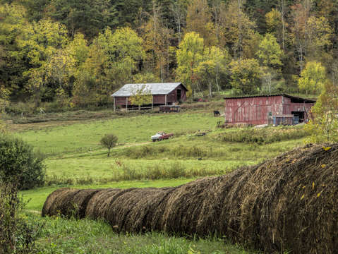 The farm
